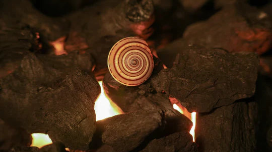 Exploring the Significance of the Shree Vishnu Shankh