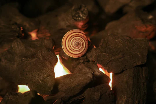 Exploring the Significance of the Shree Vishnu Shankh