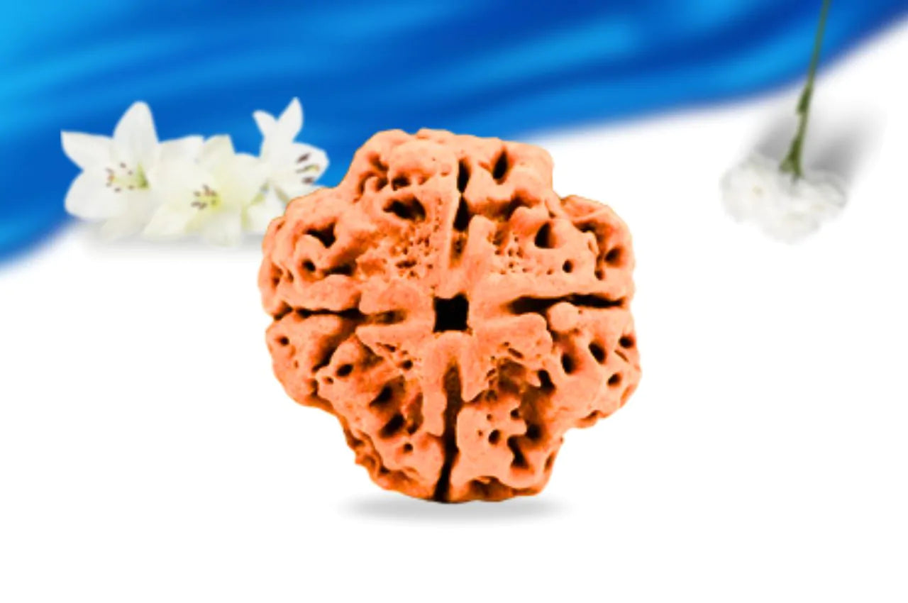 4 Mukhi Nepali Rudraksha – Original Energized Bead for Knowledge and Focus