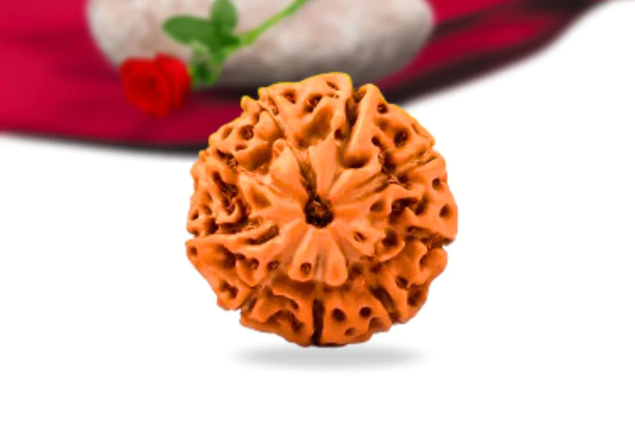 9 Mukhi Indonesian Rudraksha – Energized Bead for Power, Protection & Spiritual Growth
