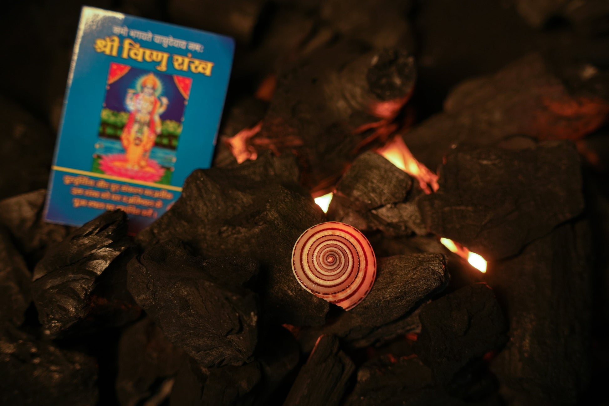 Shree Vishnu Shankh – Sacred Conch for Prosperity, Protection & Divine Blessings