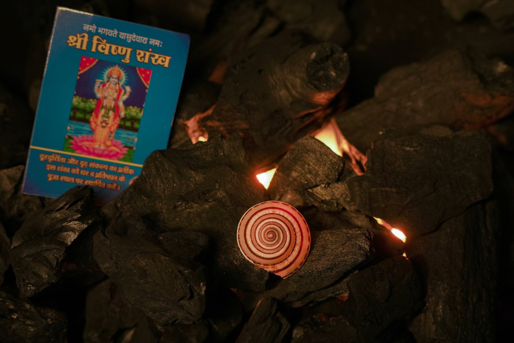 Shree Vishnu Shankh – Sacred Conch for Prosperity, Protection & Divine Blessings