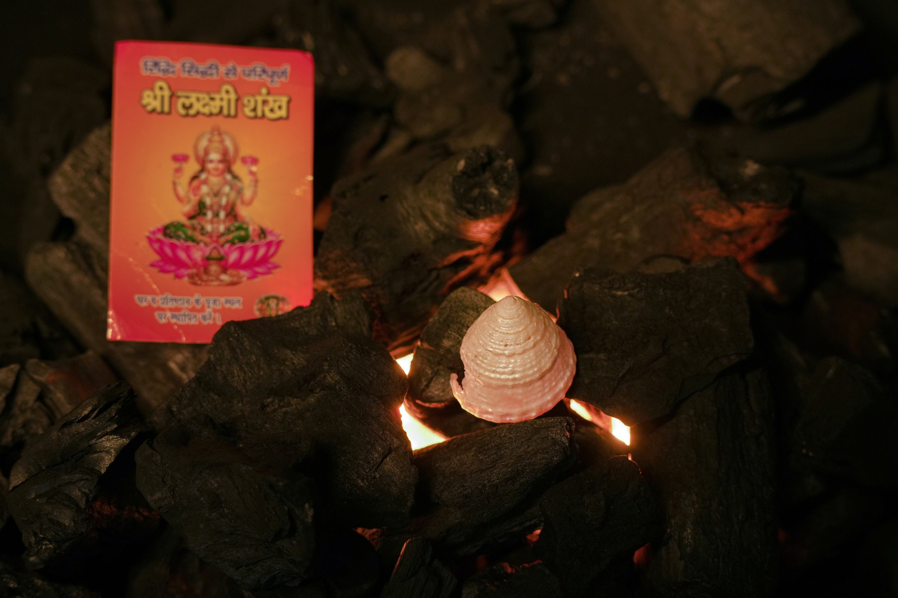 Lakshmi Shankh – Sacred Conch of Prosperity, Peace & Divine Energy