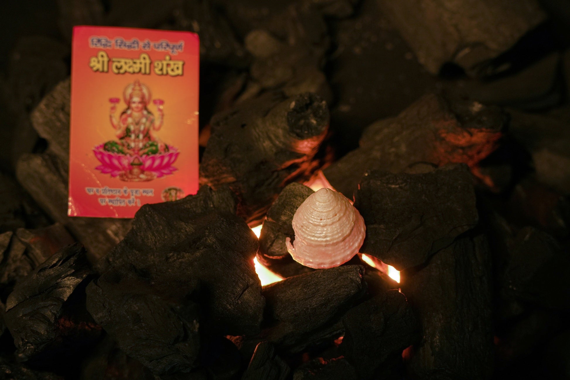 Lakshmi Shankh – Sacred Conch of Prosperity, Peace & Divine Energy