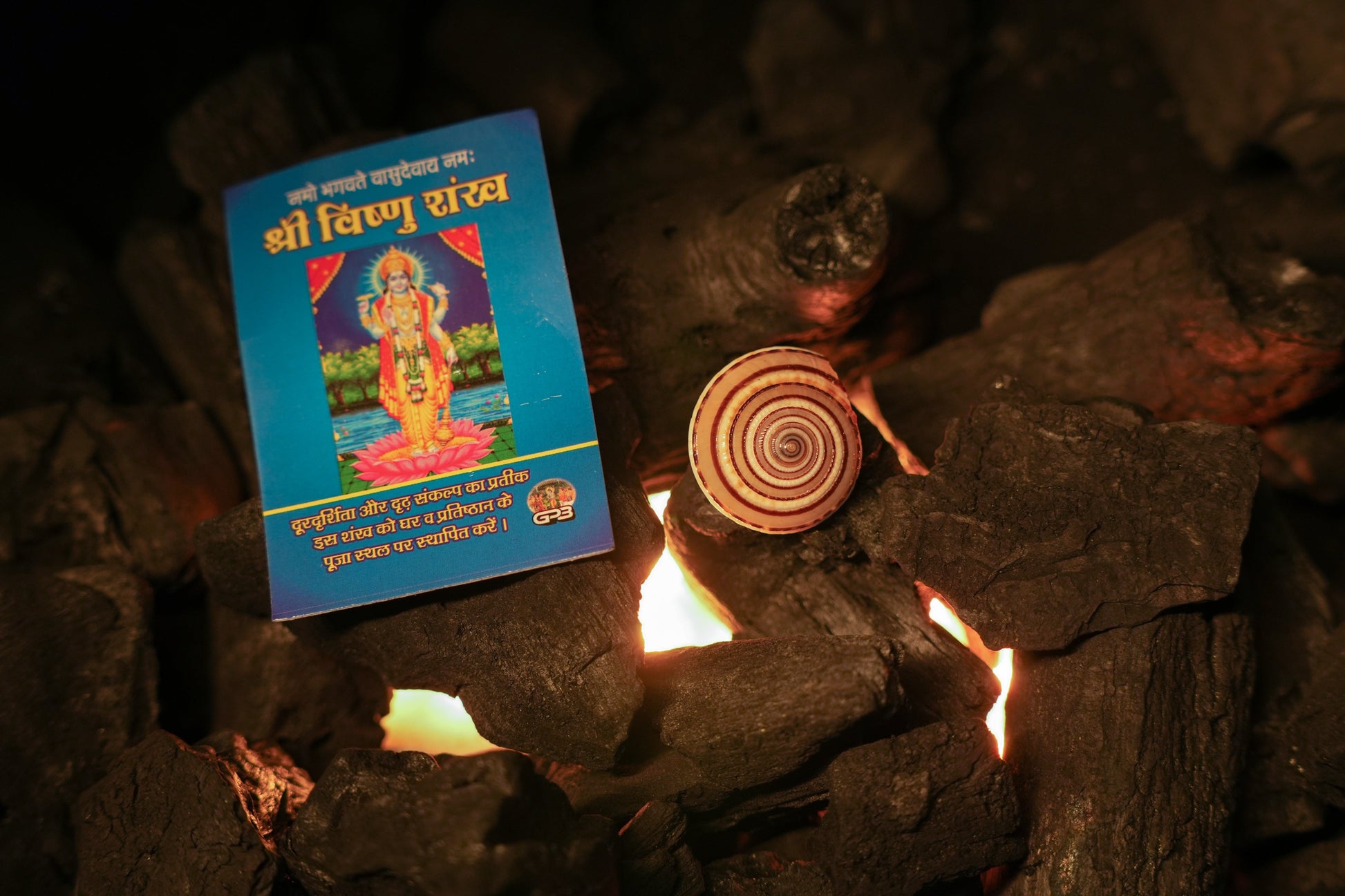 Shree Vishnu Shankh – Sacred Conch for Prosperity, Protection & Divine Blessings