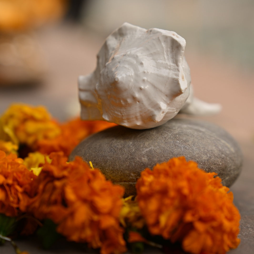 Shree Vishnu Shankh – Sacred Conch for Positivity, Prosperity & Divine Protection