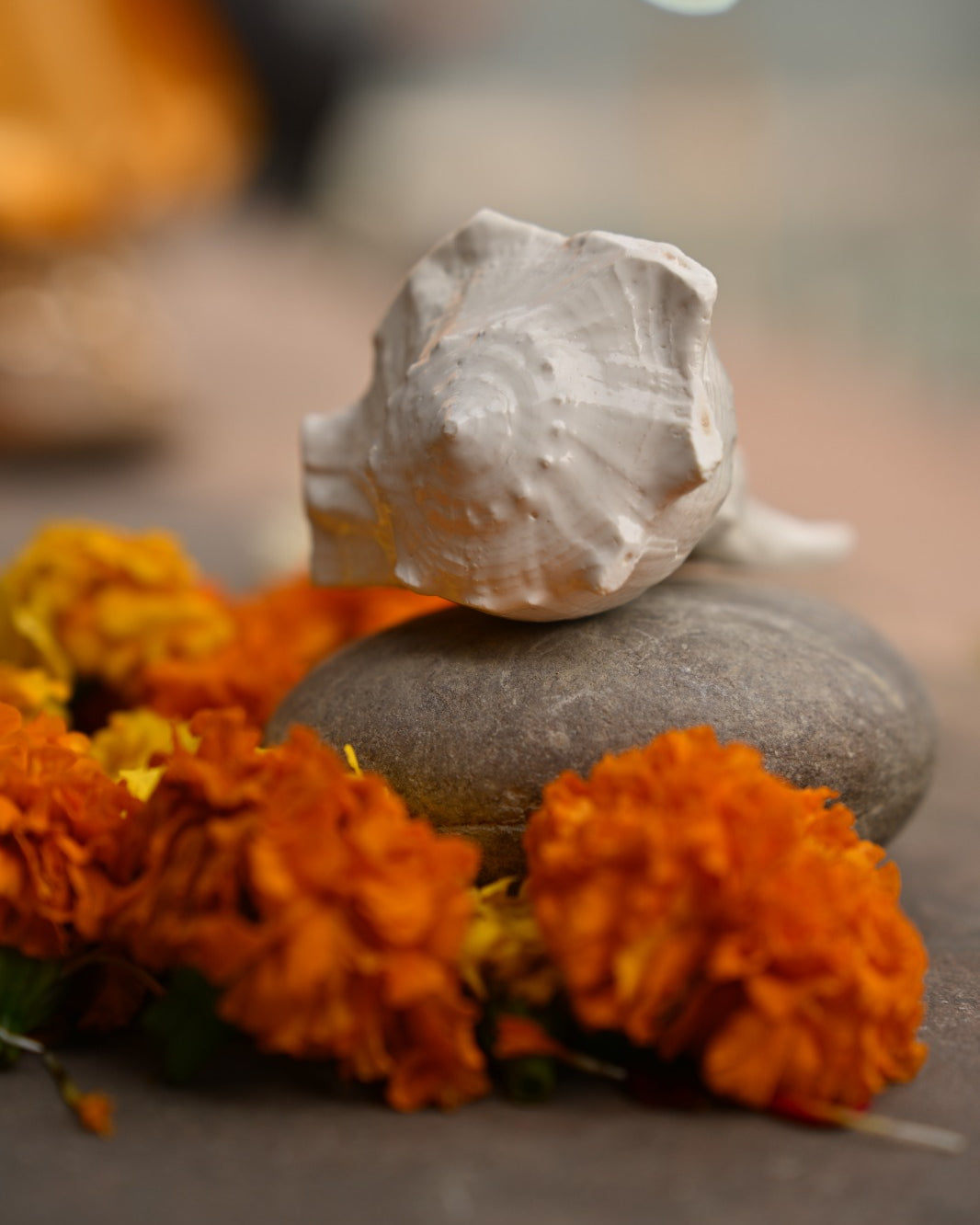 Shree Vishnu Shankh – Sacred Conch for Positivity, Prosperity & Divine Protection