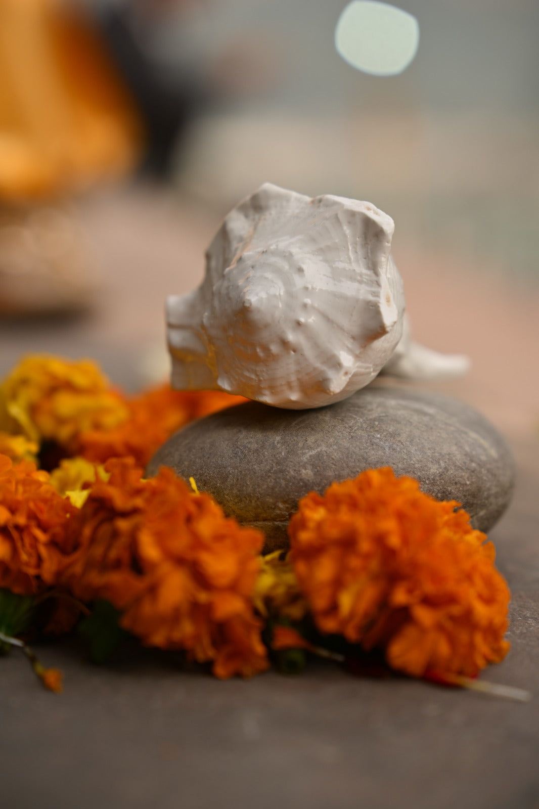Shree Vishnu Shankh – Sacred Conch for Positivity, Prosperity & Divine Protection