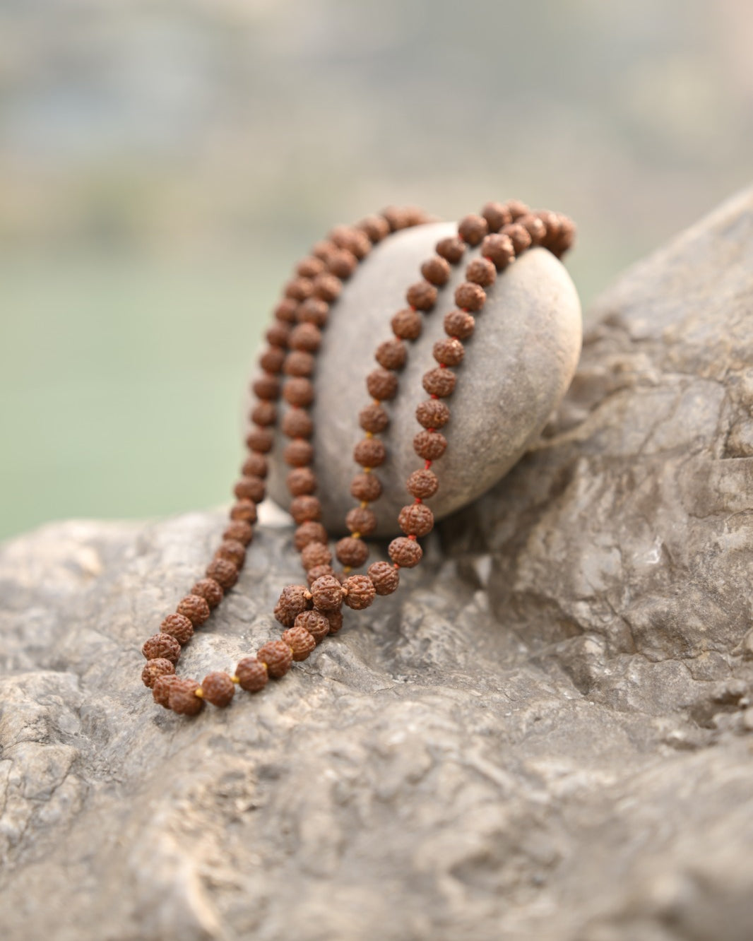 5 Mukhi Rudraksha Mala – Symbol of Peace, Balance & Spiritual Growth